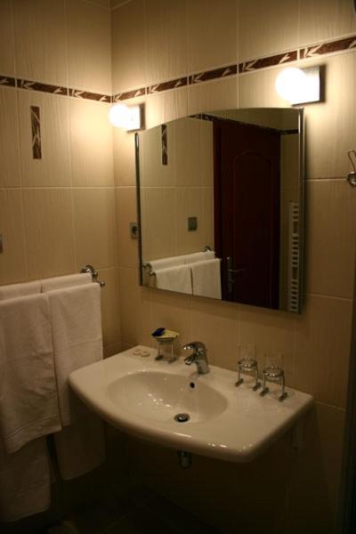Zlaty Lev Hotel Louny Værelse billede